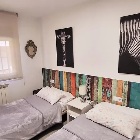 Www Goyahospitales Es León